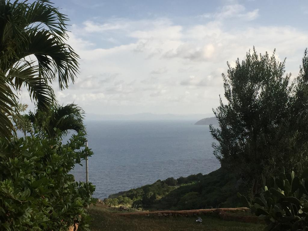 El Monte Azul Bed and Breakfast Las Galeras Εξωτερικό φωτογραφία